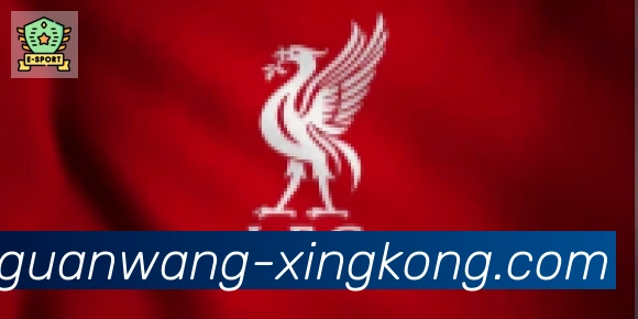 星空体育官网入口合作伙伴