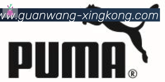 星空体育官网入口合作伙伴