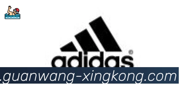 星空体育官网入口合作伙伴